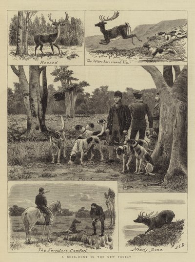 A Deer-Hunt in the New Forest by John Charles Dollman